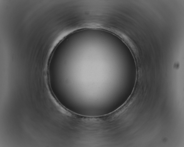 X0000094421432200711211400