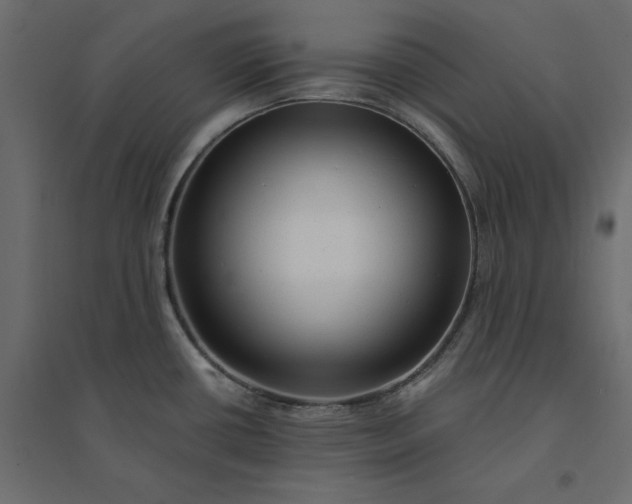 X0000094421434200711211400