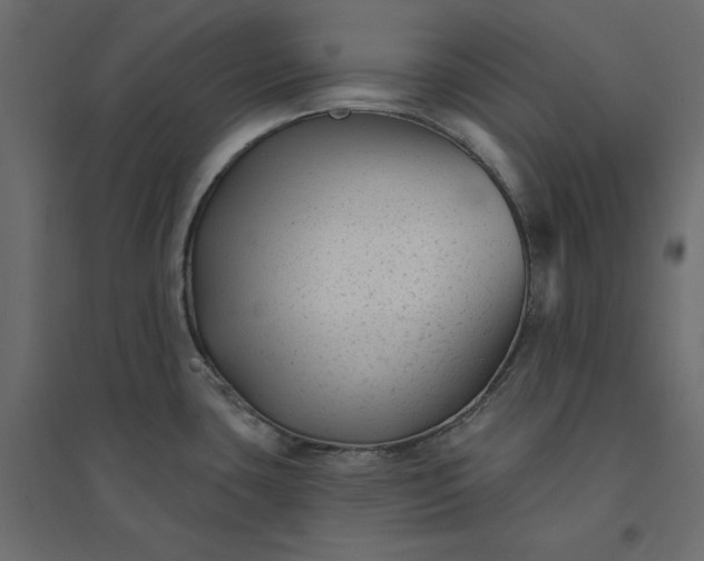 X0000094421435200711211400