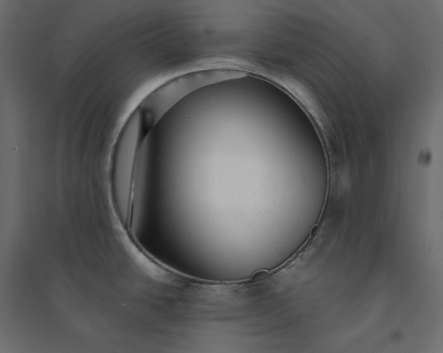 X0000094421438200711211400