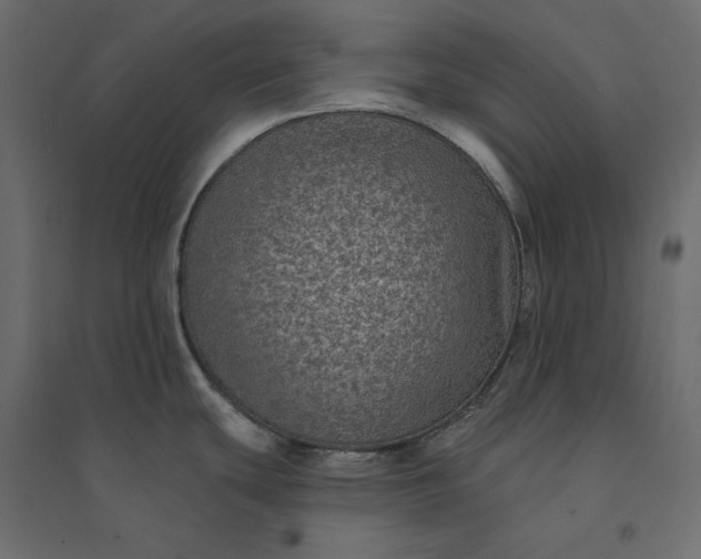 X0000094421439200711211400