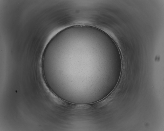 X0000094421440200711211400