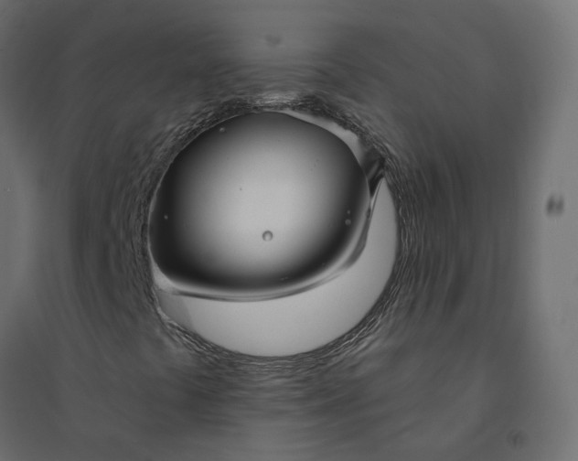 X0000094421441200711211400
