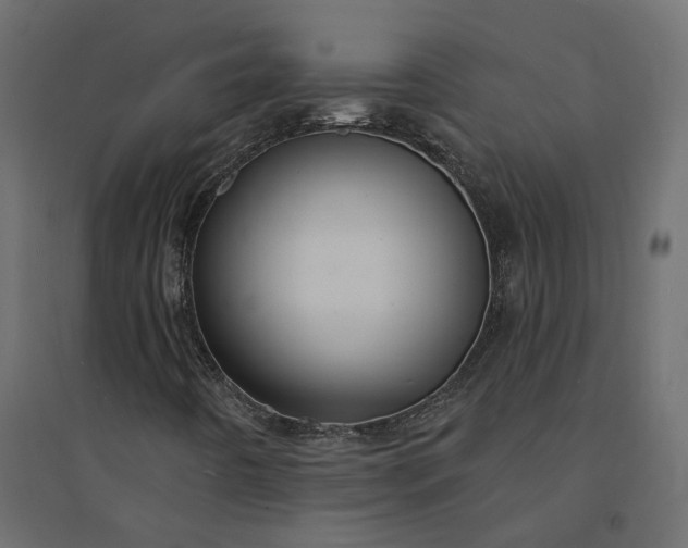 X0000094421442200711211400
