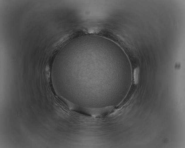 X0000094421443200711211400