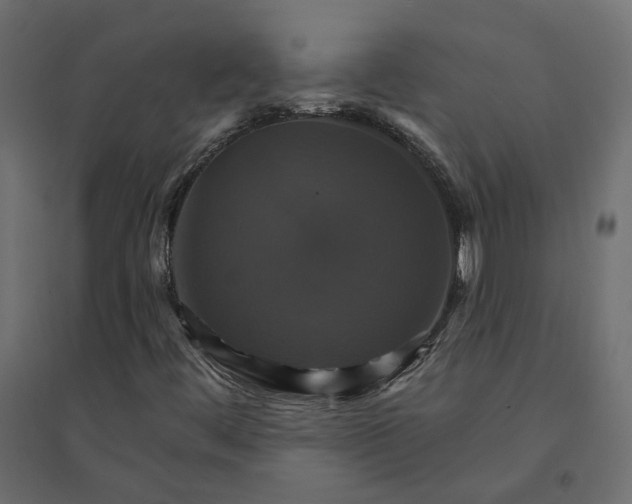 X0000094421444200711211400