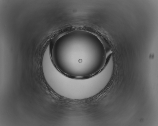 X0000094421445200711211400