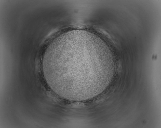 X0000094421446200711211400