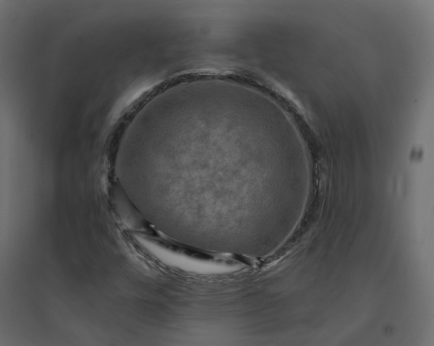 X0000094421448200711211400