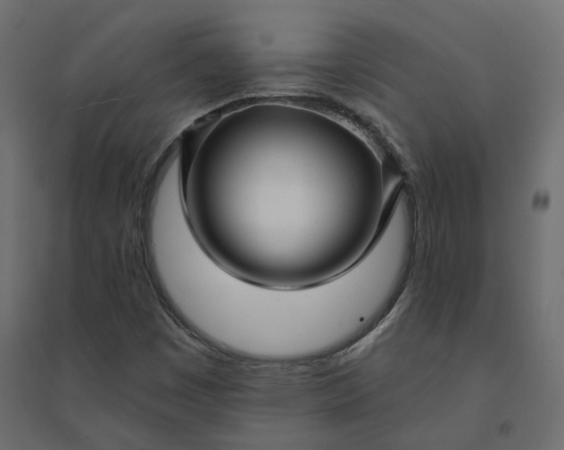 X0000094421449200711211400