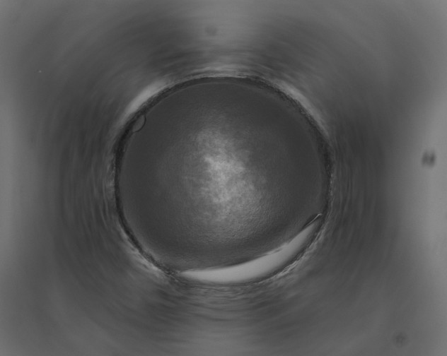 X0000094421450200711211400