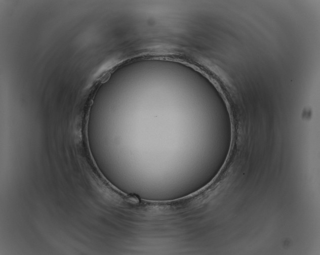 X0000094421451200711211400