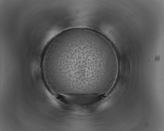 X0000094421452200711211400