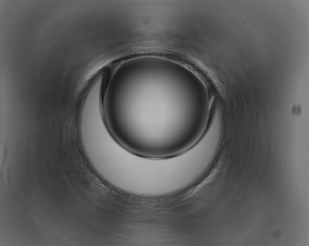 X0000094421453200711211400