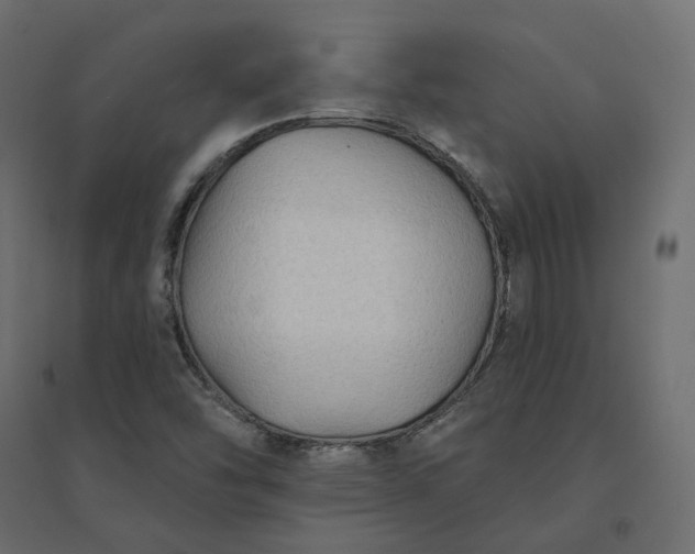 X0000094421454200711211400