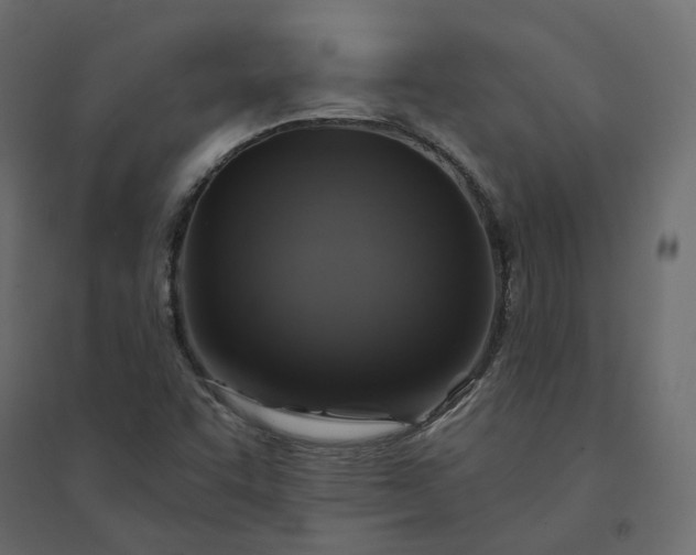X0000094421455200711211400