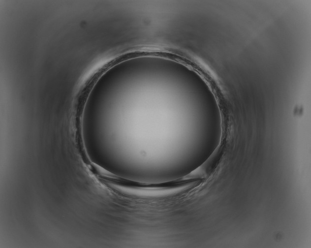 X0000094421456200711211400