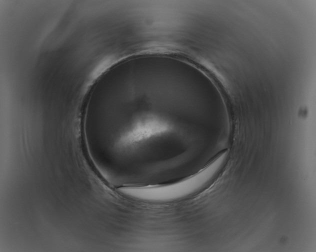 X0000094421459200711211400