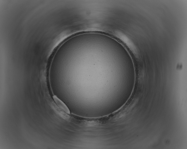 X0000094421460200711211359