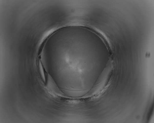 X0000094421461200711211359