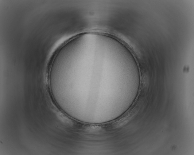 X0000094421462200711211359