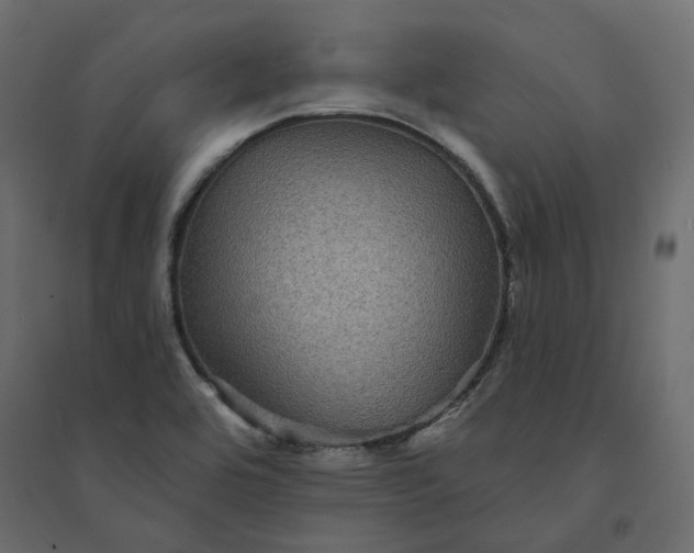 X0000094421464200711211359