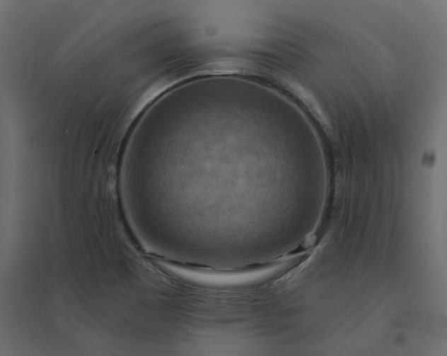 X0000094421465200711211359