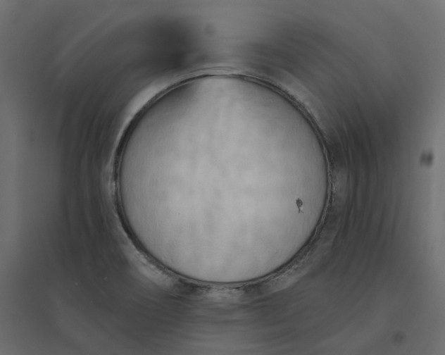 X0000094421466200711211359