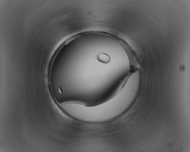 X0000094421468200711211359