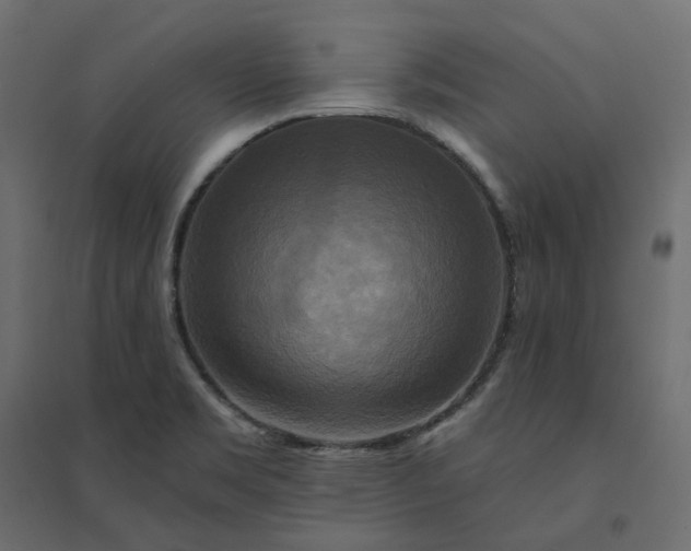 X0000094421469200711211359