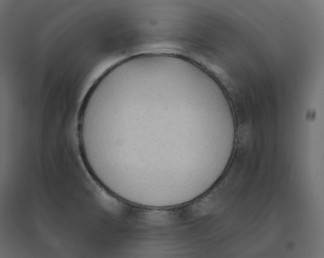 X0000094421470200711211359