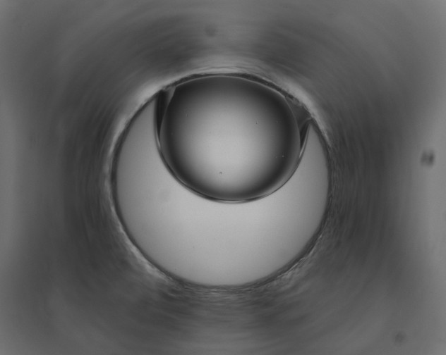X0000094421472200711211359