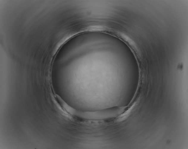X0000094421473200711211359