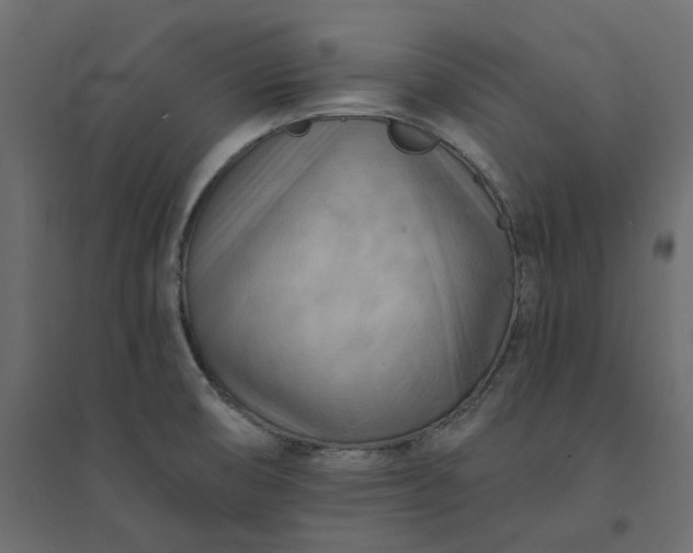 X0000094421474200711211359