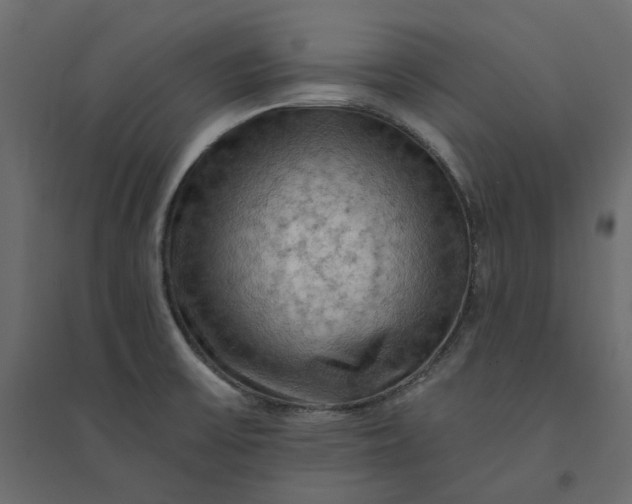 X0000094421475200711211359
