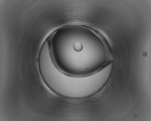 X0000094421476200711211359
