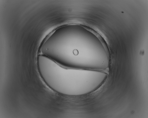 X0000094421477200711211359