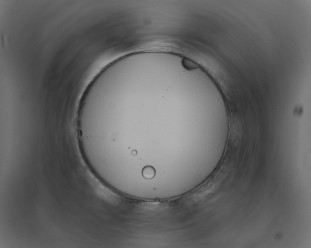 X0000094421478200711211359