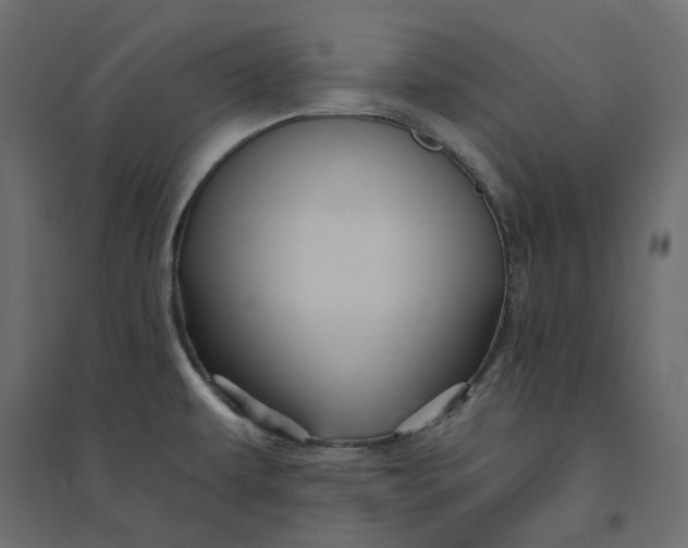 X0000094421479200711211359