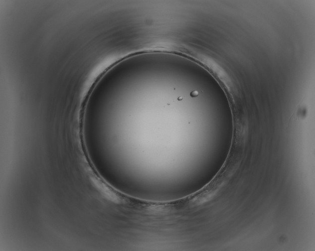 X0000094421480200711211359