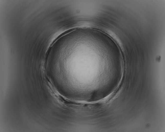 X0000094421481200711211359