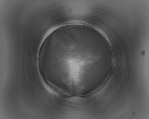 X0000094421482200711211359