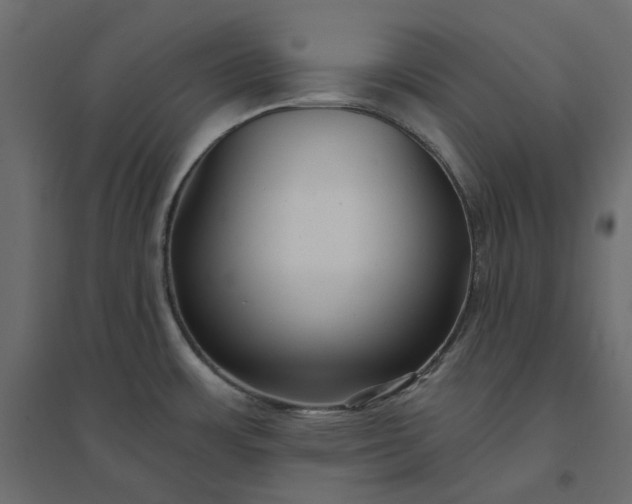 X0000094421483200711211359