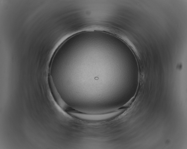 X0000094421484200711211359
