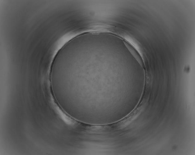 X0000094421485200711211359
