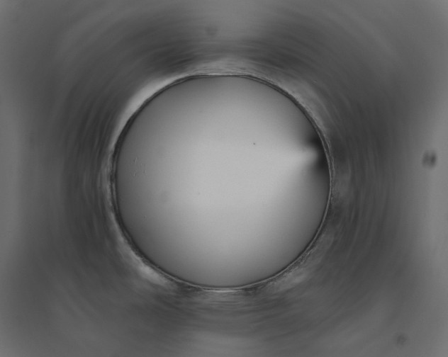 X0000094421486200711211359