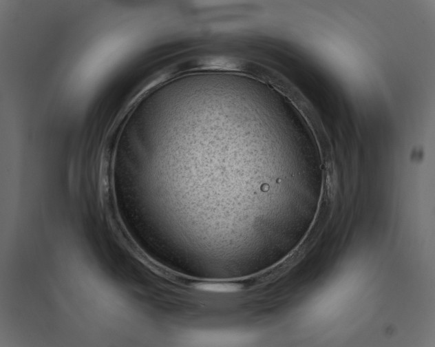 X0000094421487200711211359