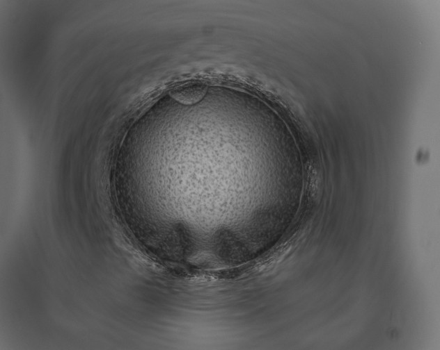 X0000094421489200711211358