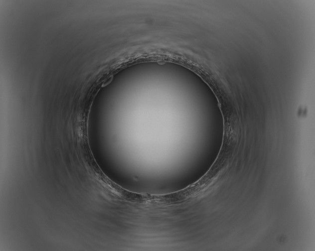 X0000094421490200711211358