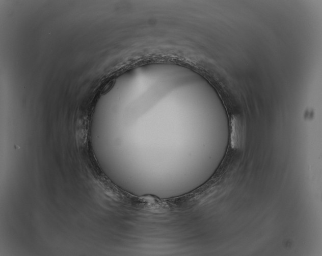 X0000094421491200711211358